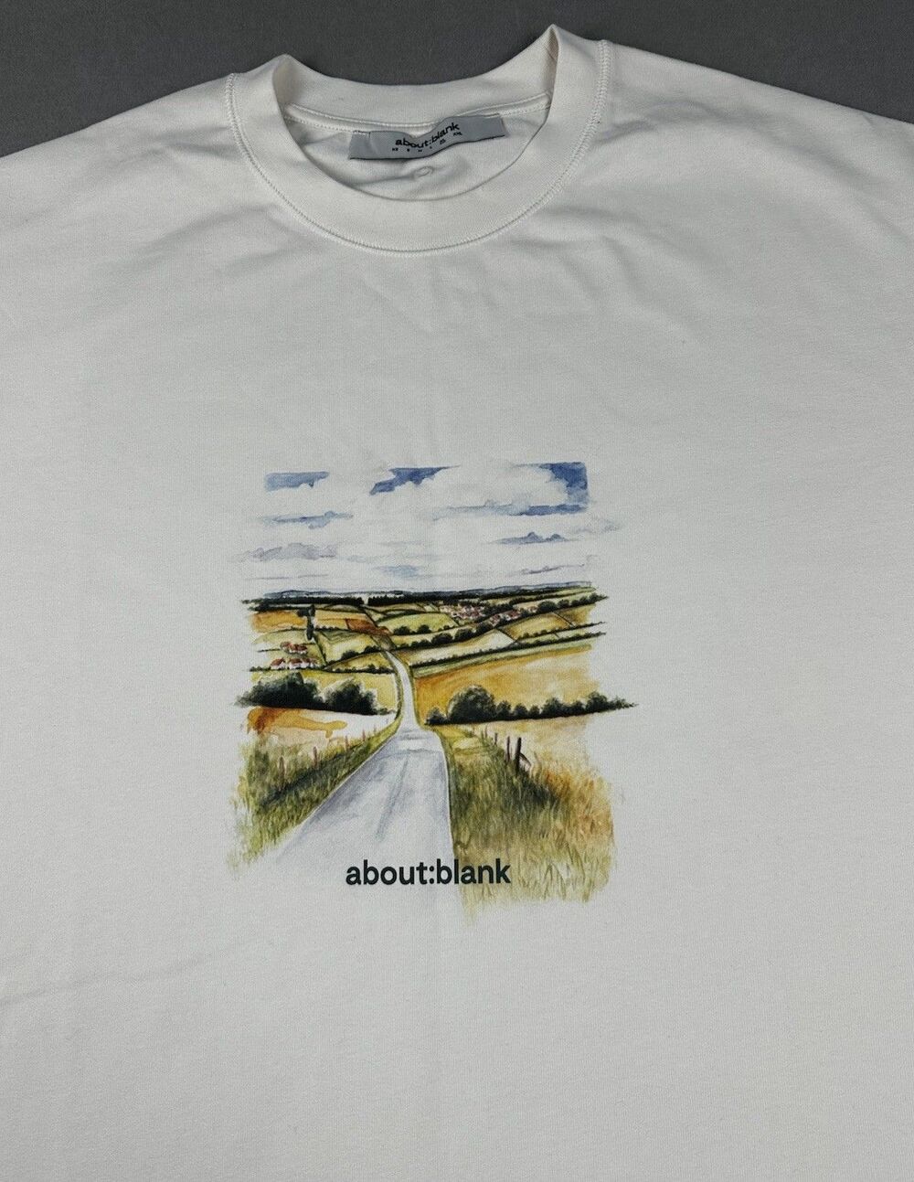 about:blank Men’s Landscape Graphic Print T Shirt Sz XL Streetwear Minimalist